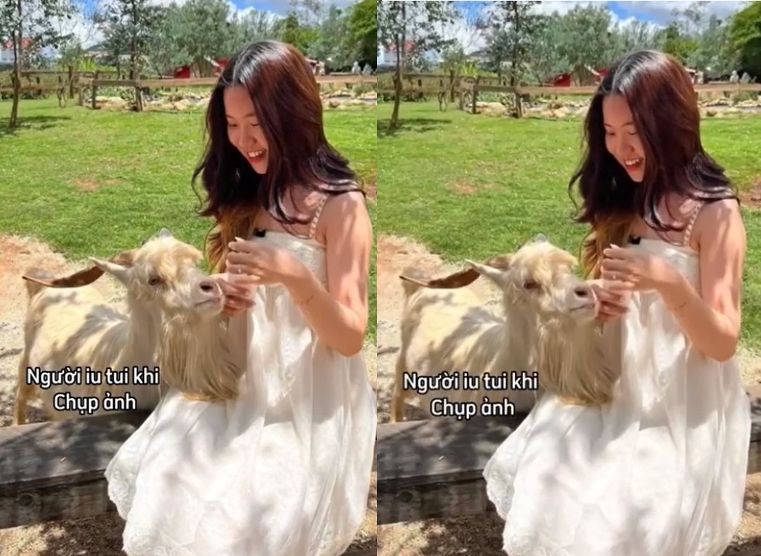 Tiểu thư từ bỏ tất cả yêu anh chim to